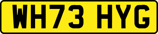 WH73HYG
