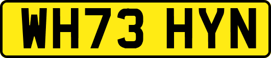WH73HYN