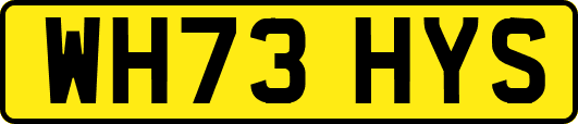 WH73HYS