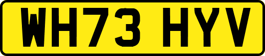 WH73HYV