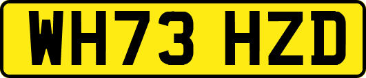WH73HZD