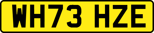 WH73HZE