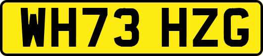 WH73HZG