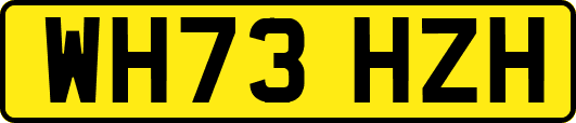 WH73HZH