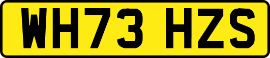 WH73HZS