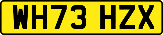 WH73HZX