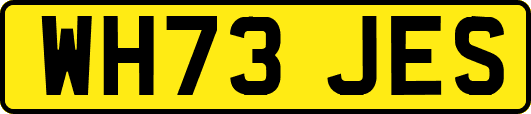 WH73JES