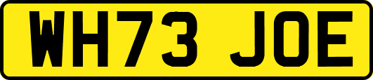 WH73JOE