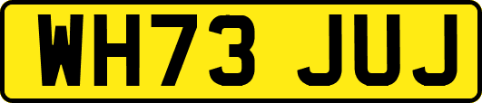 WH73JUJ