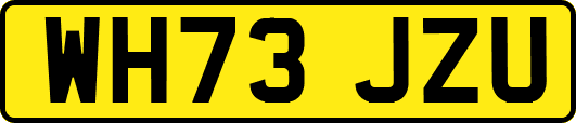 WH73JZU