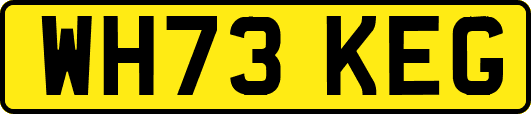 WH73KEG