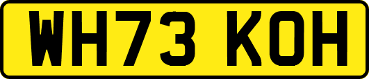 WH73KOH