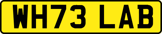 WH73LAB
