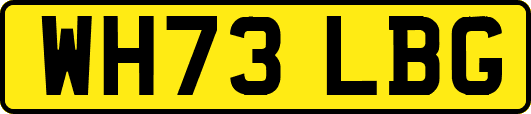WH73LBG
