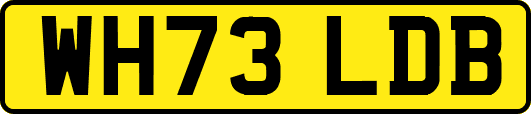 WH73LDB