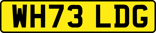 WH73LDG