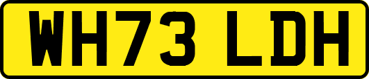 WH73LDH