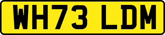 WH73LDM