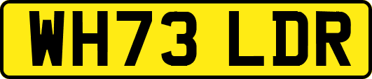 WH73LDR