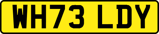 WH73LDY