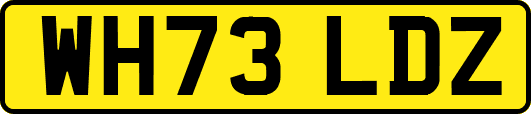WH73LDZ
