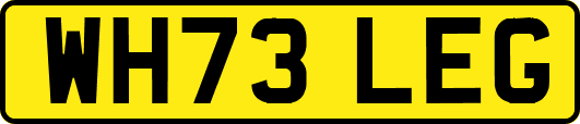 WH73LEG