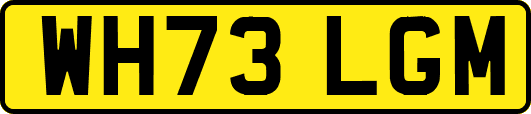 WH73LGM