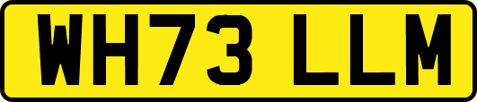 WH73LLM