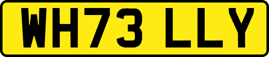 WH73LLY