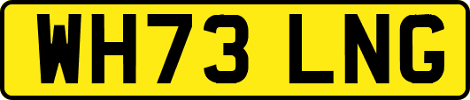 WH73LNG