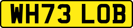 WH73LOB