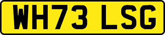WH73LSG