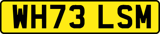 WH73LSM