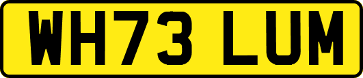 WH73LUM