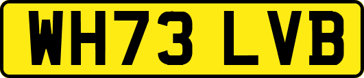 WH73LVB