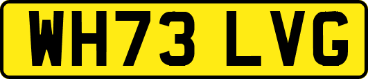 WH73LVG