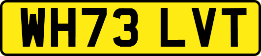 WH73LVT