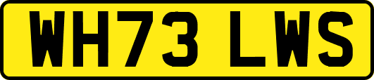 WH73LWS