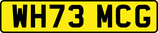 WH73MCG