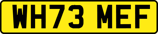 WH73MEF