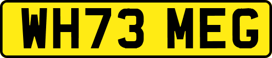 WH73MEG