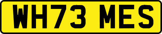 WH73MES
