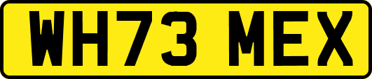 WH73MEX