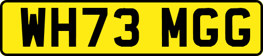 WH73MGG