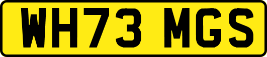 WH73MGS