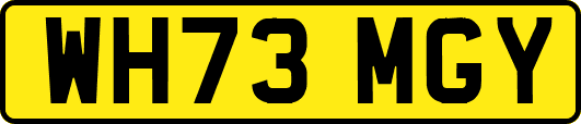 WH73MGY