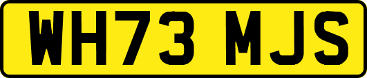 WH73MJS