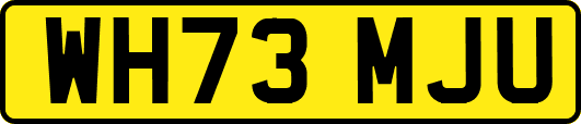 WH73MJU