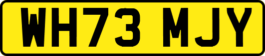 WH73MJY