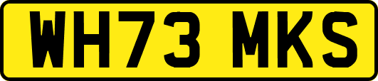 WH73MKS